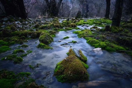 林芝-桃花沟-西藏-风景-自然 图片素材