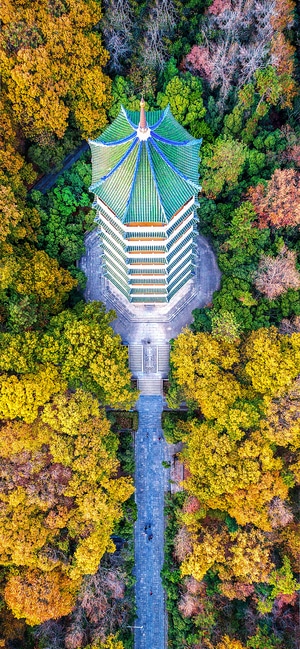 风光-中山陵-无人机-中山陵秋色-风景 图片素材