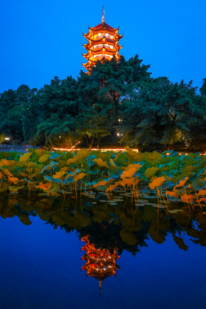 我要上封面-夜色-夜景-倒影-荷花 图片素材