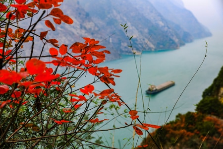 秋日物语-红叶-风光-旅行-神女峰 图片素材