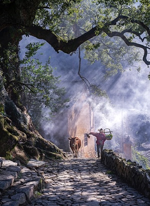 人文-风光-自然-风景-道路 图片素材
