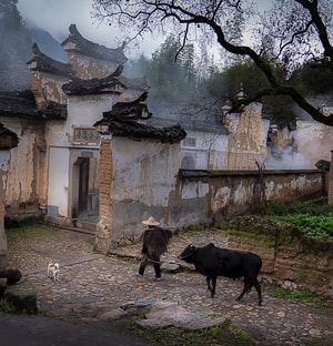 自然-风光-旅行-人文-老房子 图片素材