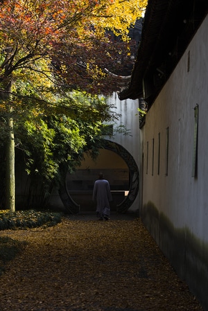 枫叶-庭院-庭院-墙-院子 图片素材