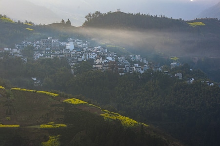 春天-旅行-风光-迷雾-风景 图片素材