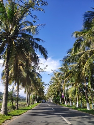 旅游-日常-我要上封面-电脑传图-蓝 图片素材
