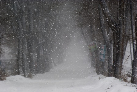 风雪-大雪-道路-大雪-道路 图片素材