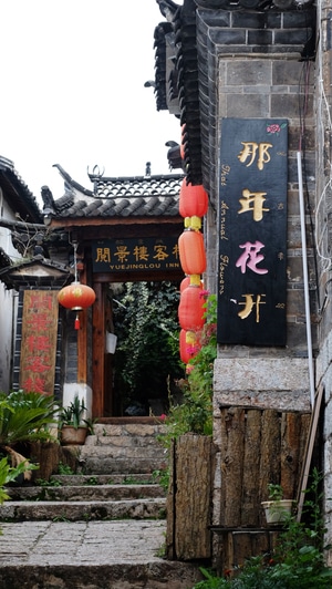 树-云南-丽江-大研古城-古城 图片素材