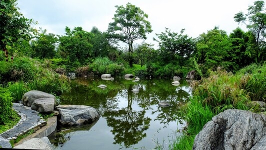 绿色地球-70周年风光-70周年摄影大赛-风光-大理 图片素材