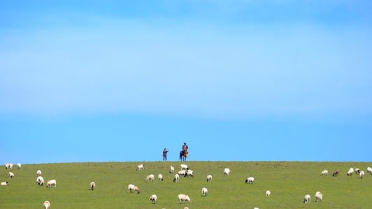 牧人-甘肃-放牧-青海-风景 图片素材