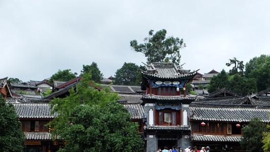 树-云南-丽江-大研古城-古城 图片素材