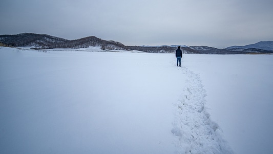 日常-电脑传图-你好2020-雪中-东北 图片素材