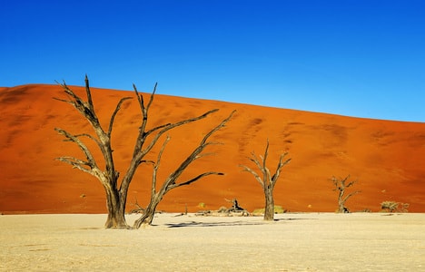 旅行-风光-纳米比亚-沙漠-环境 图片素材