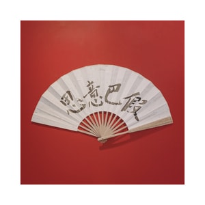 日常-随手拍-扇子-折扇-四川话 图片素材