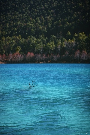 蓝色-湖泊-风景-对比色-高亮 图片素材