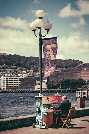 旅拍-看世界-新西兰-惠灵顿-山水 图片素材