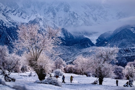 你好2020-旅行-西藏-自然-雪景 图片素材