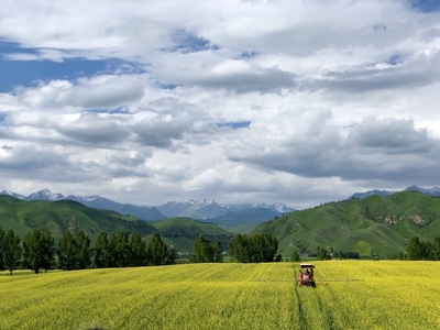 旅行-风光-新疆-色彩-自然 图片素材