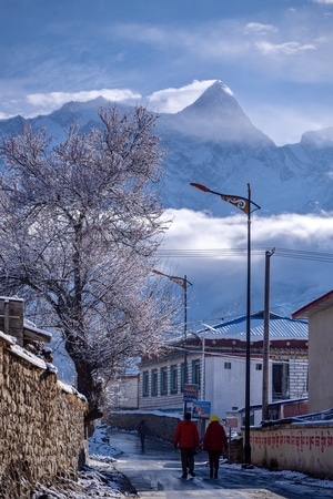 你好2020-旅行-西藏-南迦巴瓦峰-桃花 图片素材