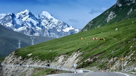 绿色地球-旅行-新疆-独库公路-风光 图片素材