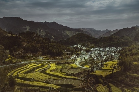 旅拍-皖南-风光-油菜花-风景 图片素材