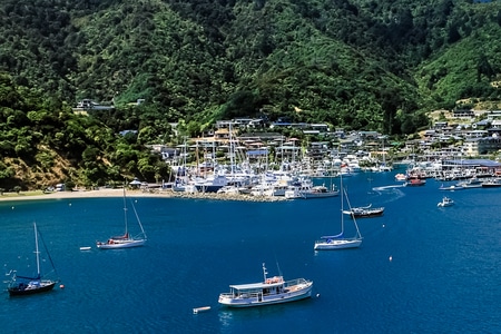 旅拍-看世界-新西兰-尼尔森-海港 图片素材