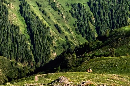 旅行-风光-喀拉峻-风景-风光 图片素材