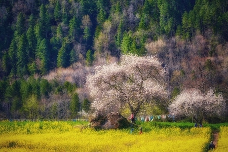 旅摄-西藏-风光-色彩-风景 图片素材