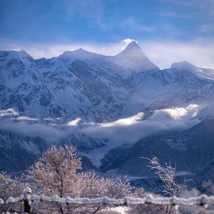你好2020-旅行-西藏-南迦巴瓦峰-桃花 图片素材