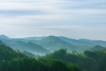 森林-大地-山脉-山-树林 图片素材