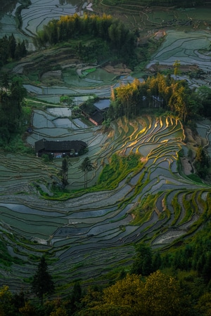 日出-自然-农田-梯田-乡村 图片素材