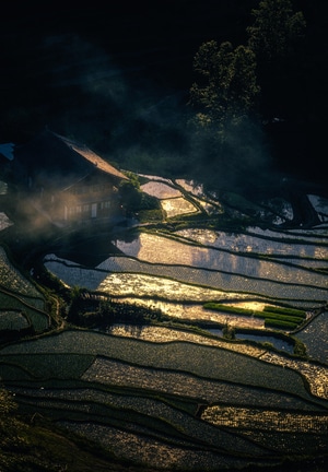 自然-农村-农田-梯田-乡村 图片素材
