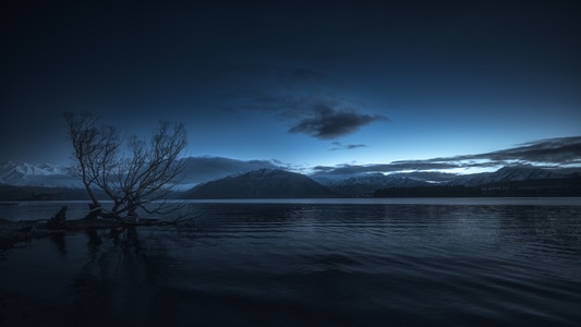 湖-水-树-一棵树-蓝调 图片素材