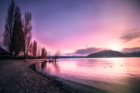 拂晓-新西兰-凌晨-粉色-湖 图片素材