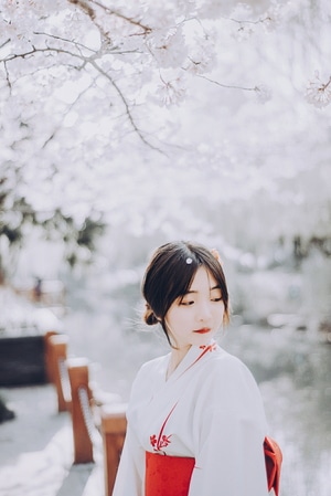 夏弃疾-唯美-人像-美女-色彩 图片素材
