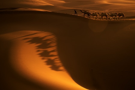 风光-旅行-沙漠-日落-新疆 图片素材