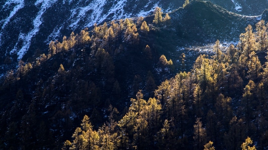 藏区-高原-风光-川西-藏地 图片素材