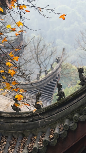 你好2020-杭州-灵隐寺-城市画册-看你的城市 图片素材