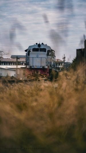 废旧火车头-武夷山-城市旅行者-废旧火车头-火车 图片素材