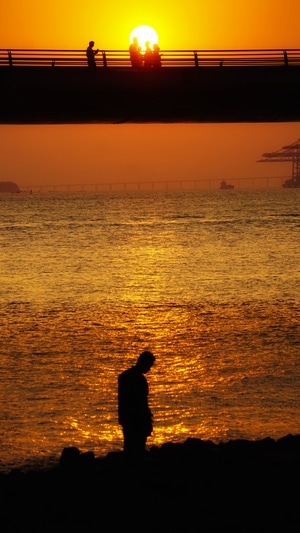 旅行-寂寞-厦门-夕阳-夕阳 图片素材