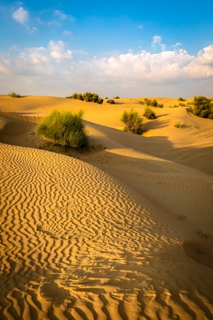 风景-旅行-沙漠-沙漠-沙丘 图片素材
