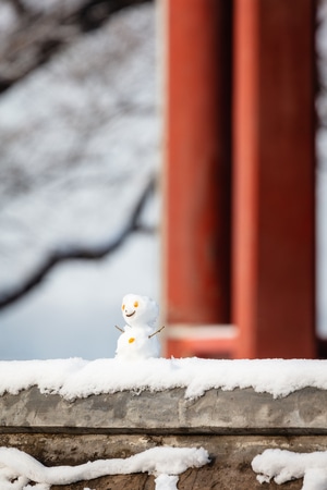 雪景-风景-旅行-雪人-雪 图片素材
