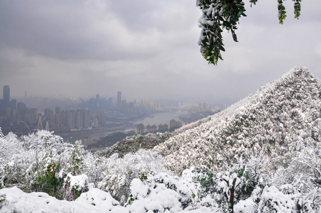 主城-雪-降雪-难得一见-24年 图片素材