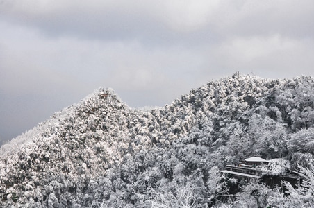 主城-雪-降雪-难得一见-24年 图片素材