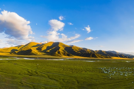 自驾-旅游-新疆-巴音郭楞-巴音布鲁克 图片素材