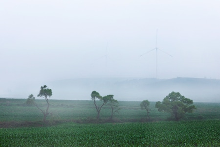 环境-绿色-夏季-雾-风景 图片素材