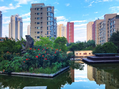 大连市-手机-园区小景-色彩-城市 图片素材