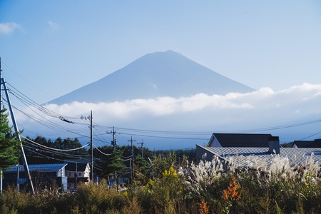 旅拍-富士山-圆形展览馆-芦苇-风 图片素材