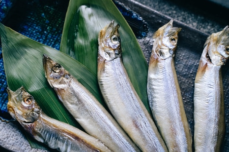 日式-烧烤-小鱼-广州-食物 图片素材