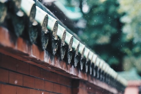 雨天-听雨-夏季-广州-雨天 图片素材