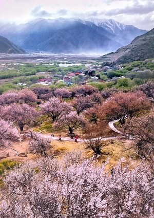 手机摄影-华为-旅拍-旅行-风光 图片素材
